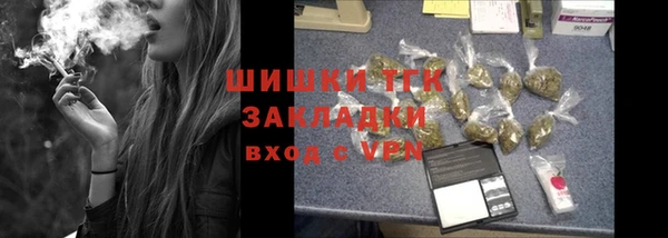 мдпв Михайловск