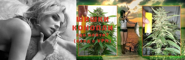 мдпв Михайловск