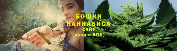 мдпв Михайловск